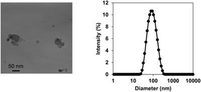 Effects of Prenatal Exposure to Titanium Dioxide Nanoparticles on DNA Methylation and Gene Expression Profile in the Mouse Brain